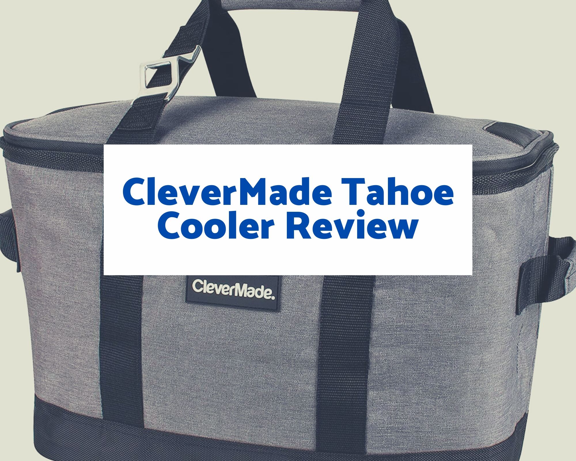 clevermade cooler bag